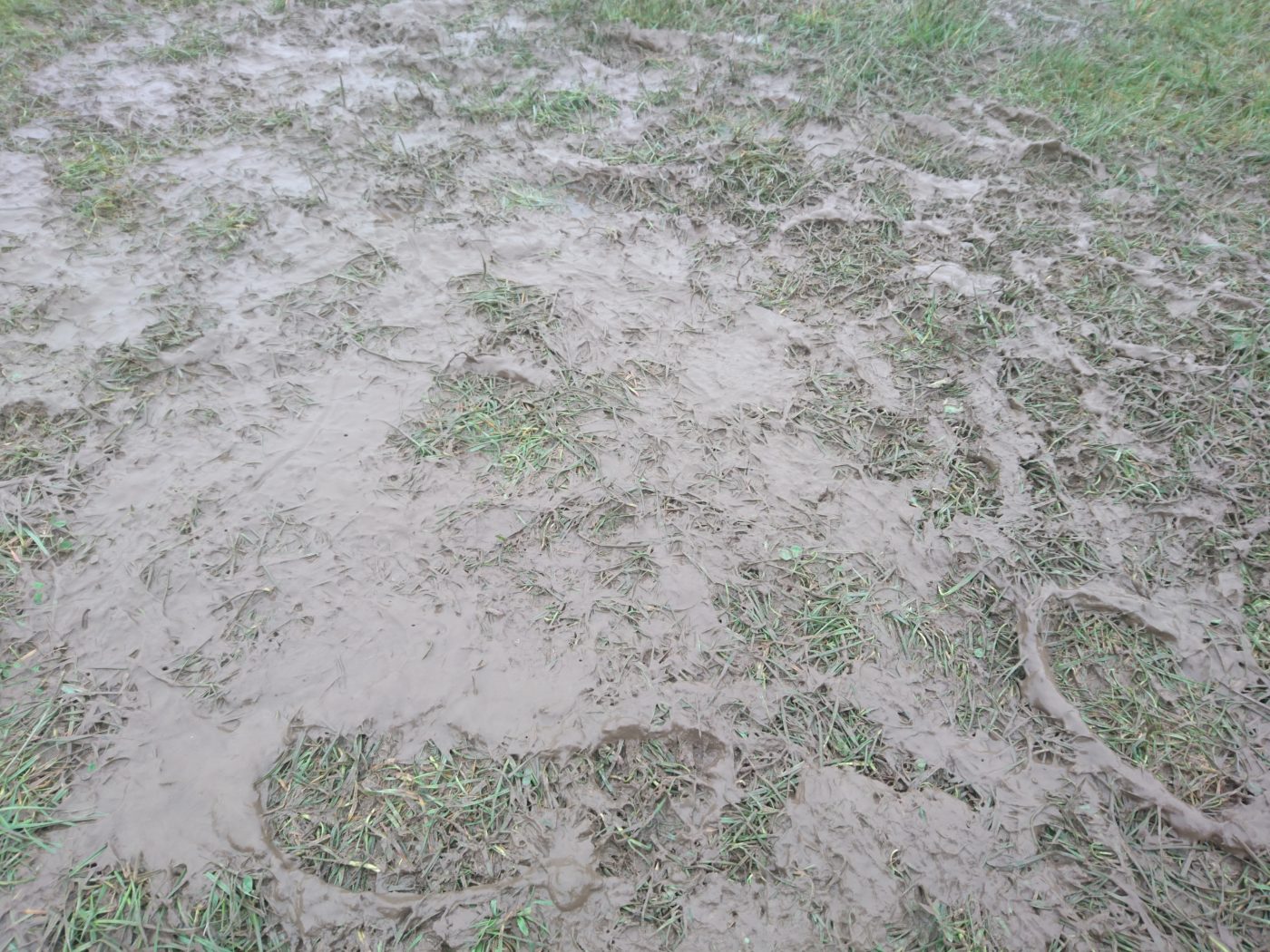 Muddy tent