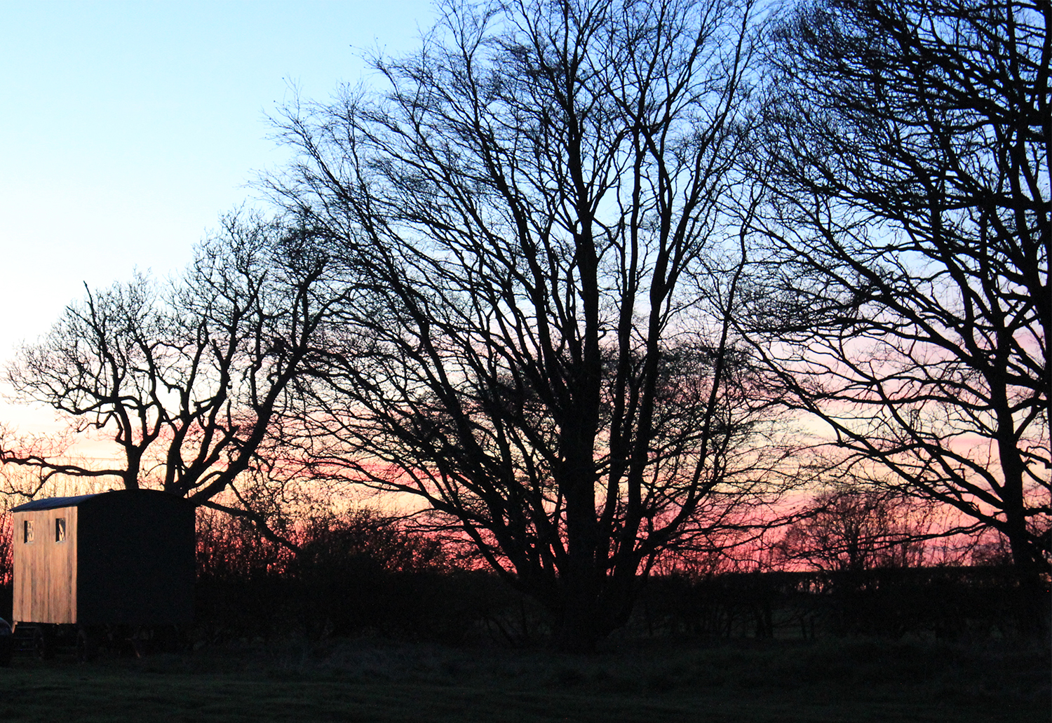 The sun setting through the trees at Thorpe Glamping