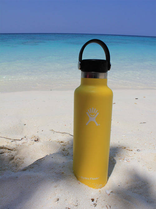 Hydro Flask Small Mouth in Lemon