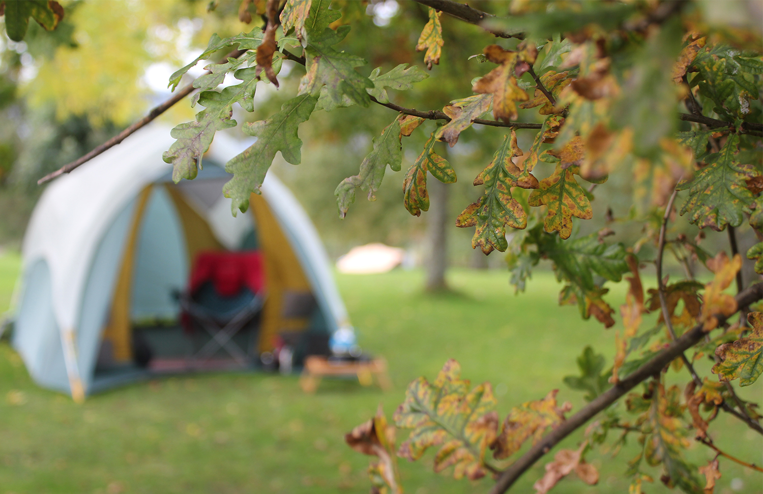Castlerigg Hall Campsite camping review
