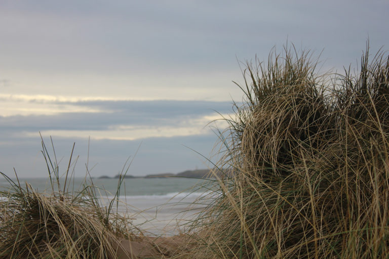 newborough warrnen nature reserve sand dunes