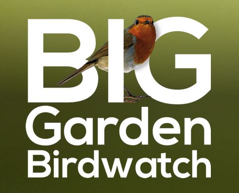 Big garden bird watch 2018