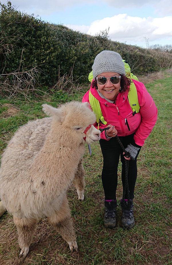 Charnwood Forest Alpacas Derbyshire