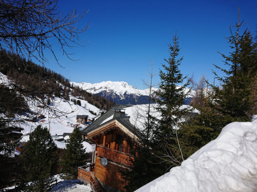 Will-I-Ski Chalet Genepy La Plagne