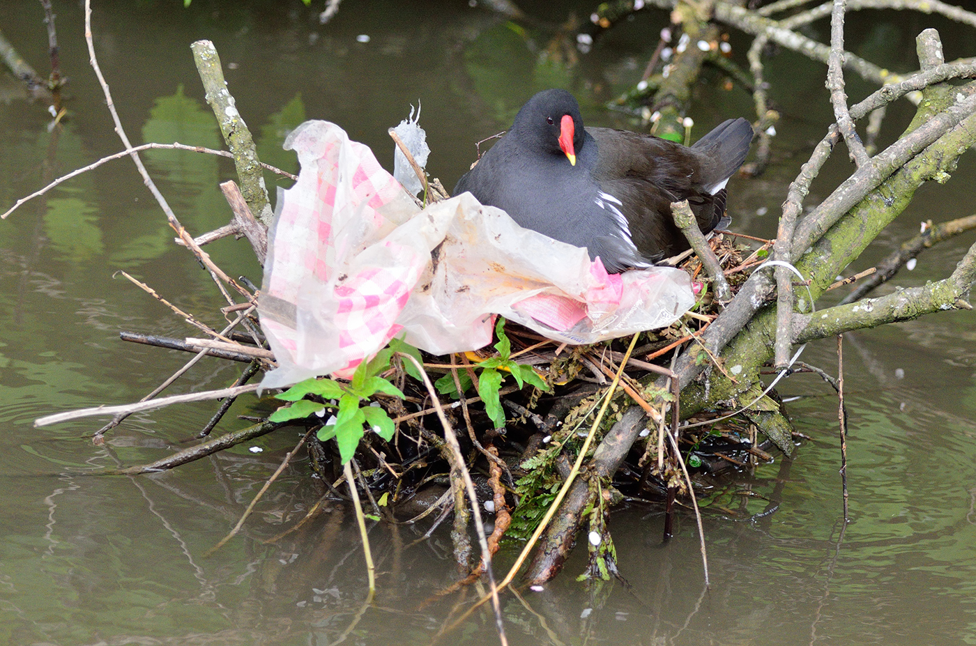stop plastics entering the UK’s rivers and canals