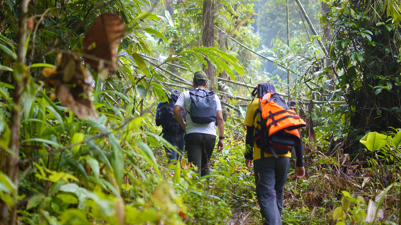 Hikers in rain forest jungle, trekking to beautiful waterfall. Selective focus: Shutterstock ID: 784320103