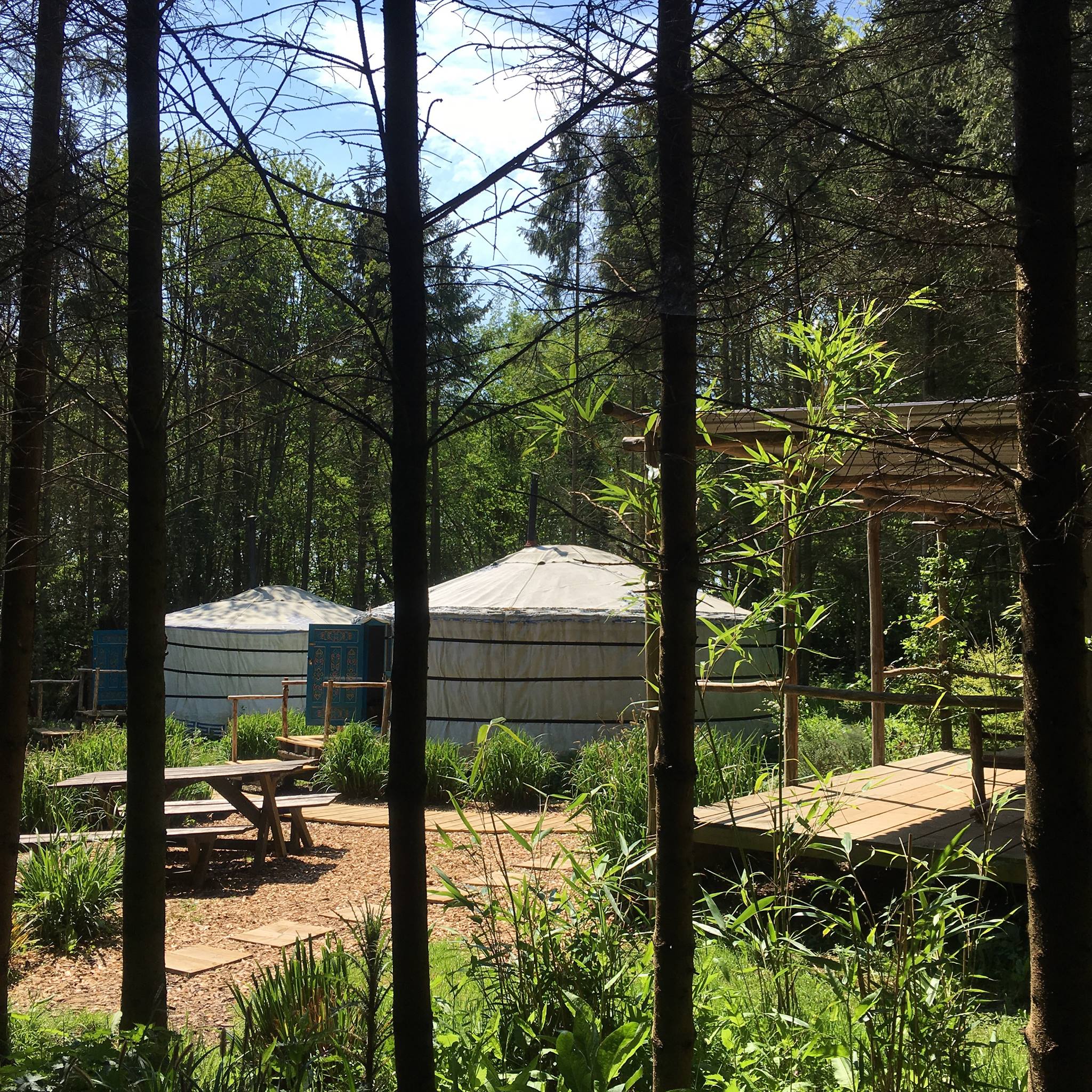 Barefoot Yurts in Essex