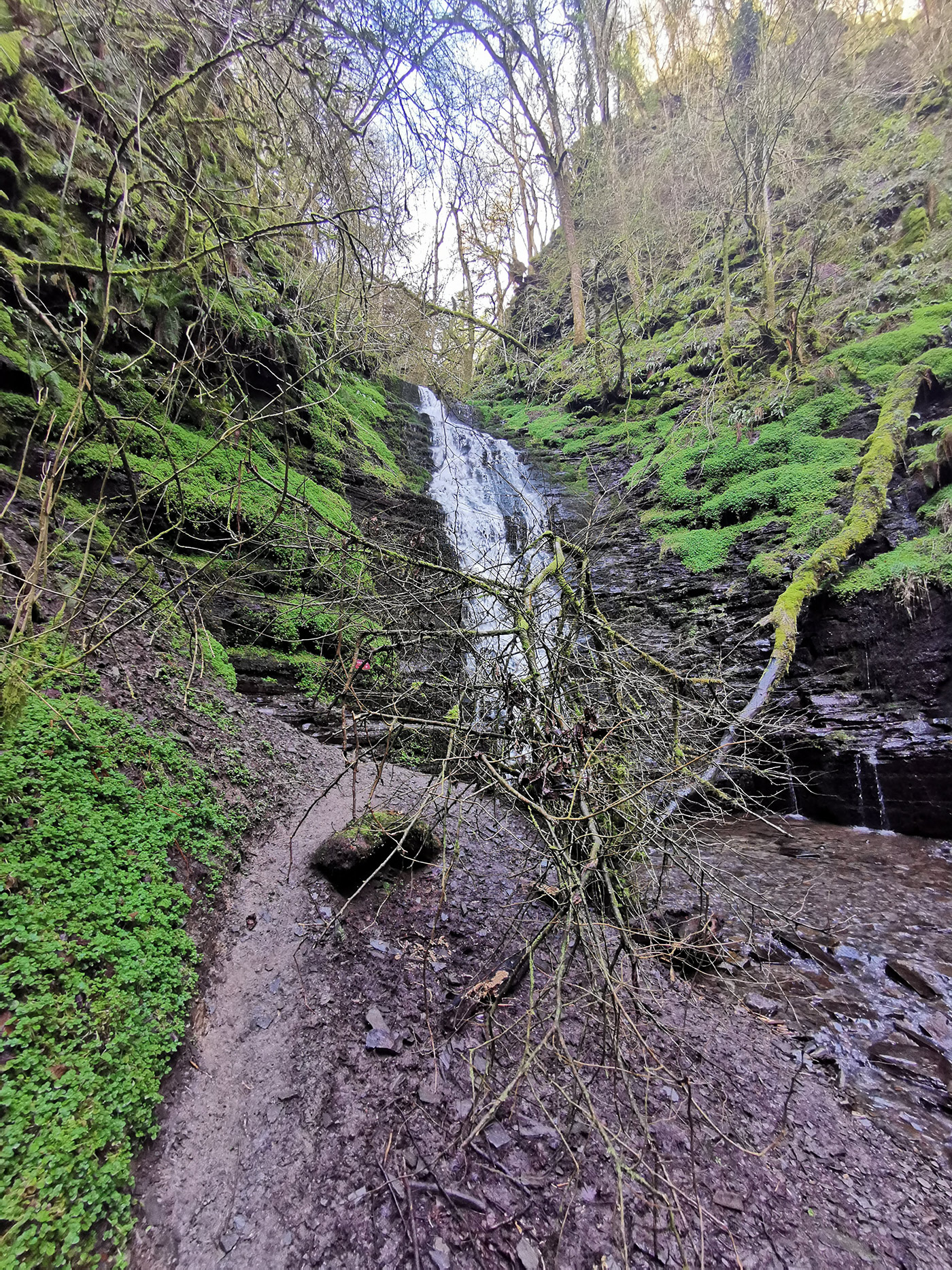 Water Break Its Neck waterfall in Warren Wood 