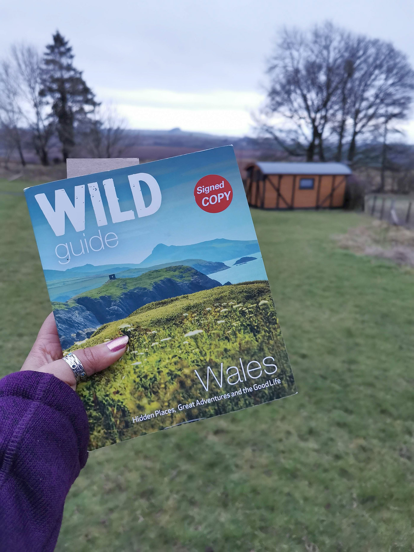 Wild Guide To Wales