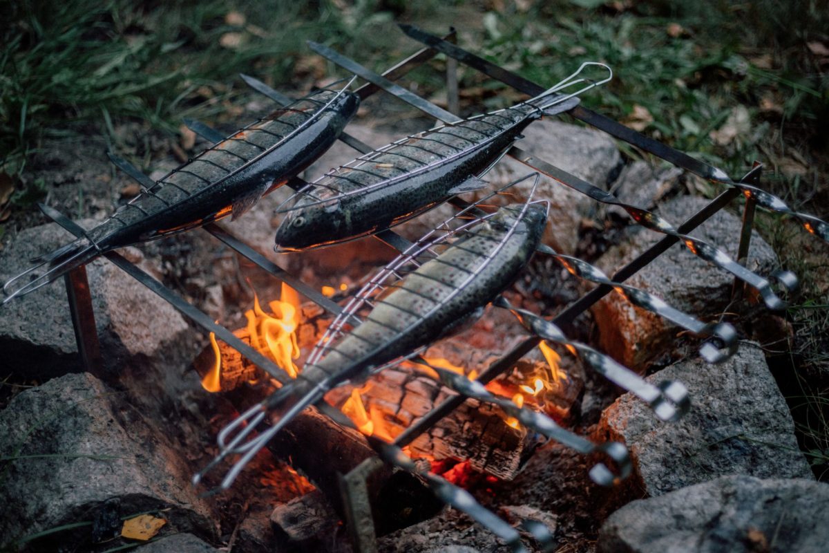 Mineraalwater Laptop compenseren 5 BBQ Tips & Tricks to Take on Your Next Camping Trip