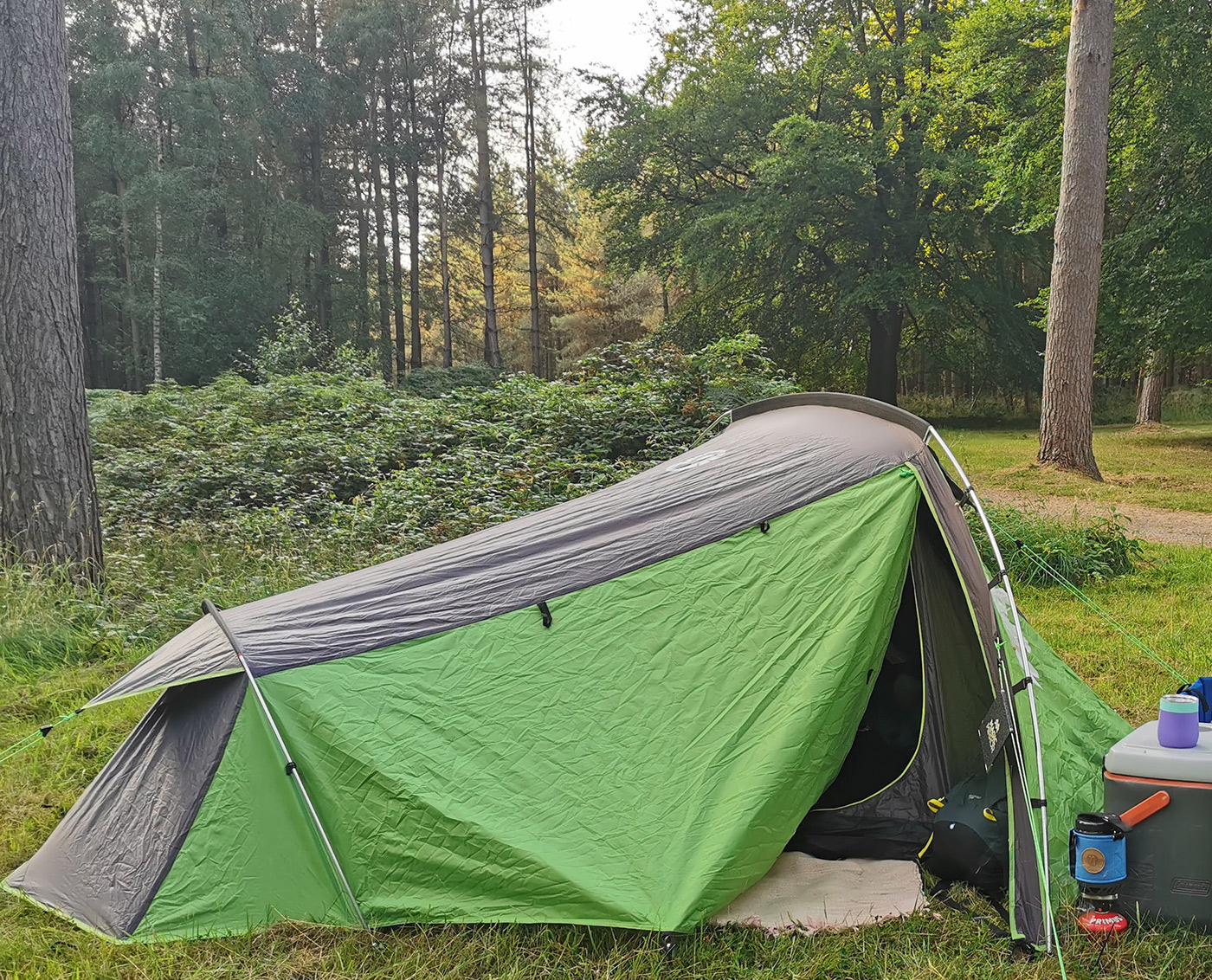 With The Coleman Batur Tent - Review