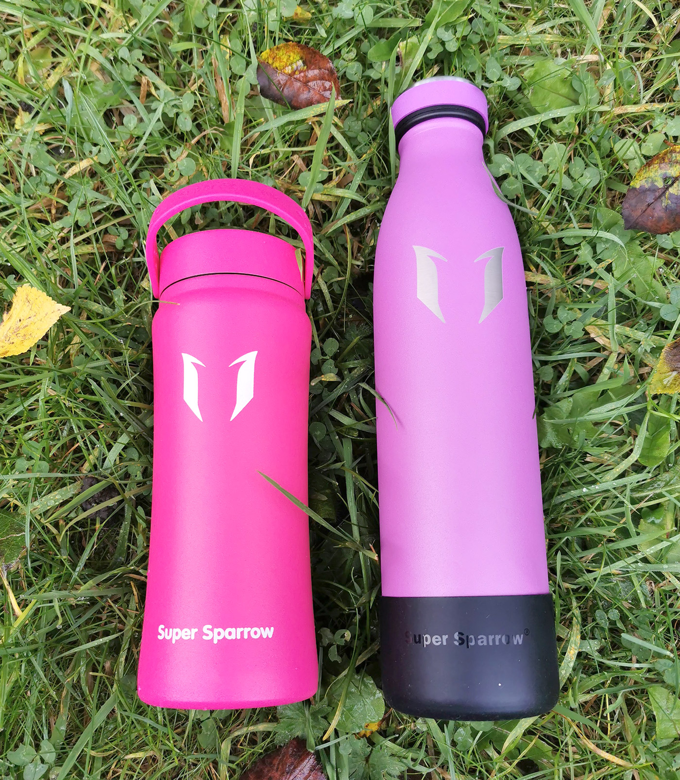 Super Sparrow Insulated Water Bottle 