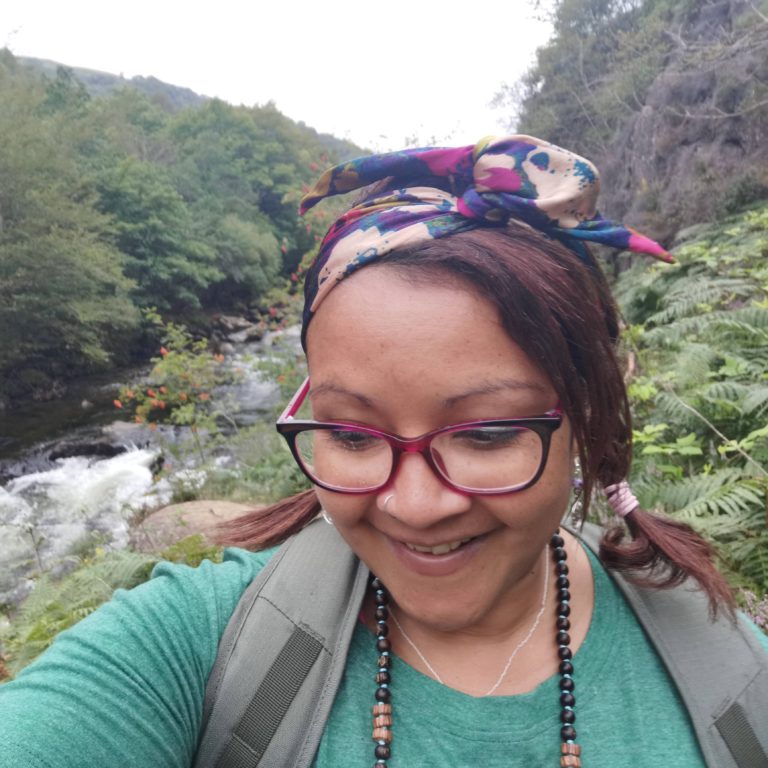 walking in snowdonia