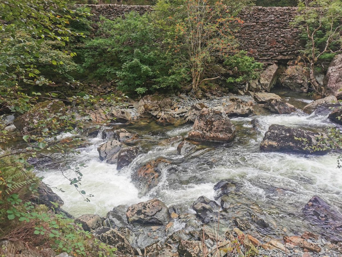 Stream in Snowdonia National park