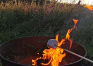 NEWS | Vegantic Mallows – Plant-Based Marshmallows Ideal For Campfire Roasting