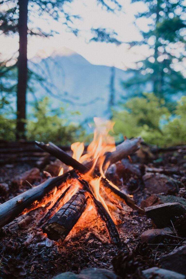 Easy, Sustainable Campfire Lighting