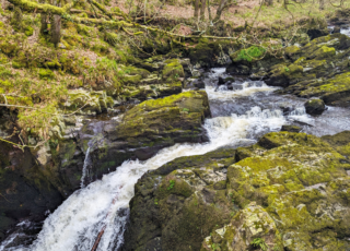 WELLBEING | Whispers From Routin Brig Waterfall, Scotland