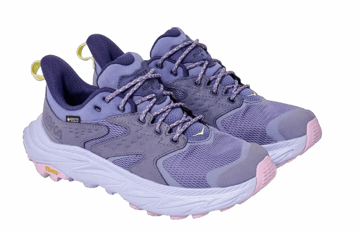 Anacapa 2 GORE-TEX Walking Shoes