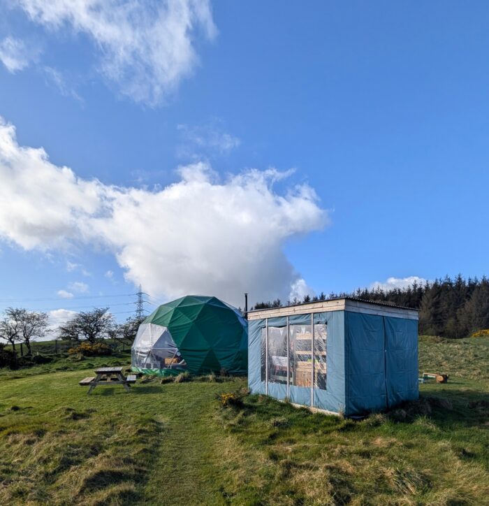 Pant Y Rhedyn Glamping Review North Wales