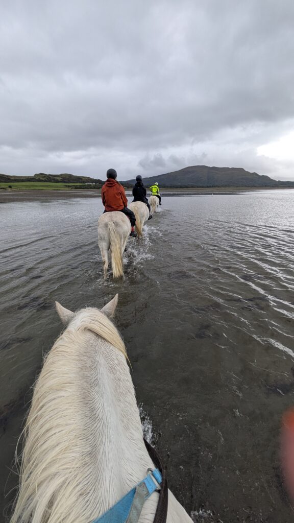 Mull Pony Trekking